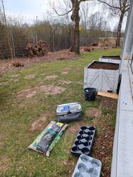 IMG_2949 IMG_2949