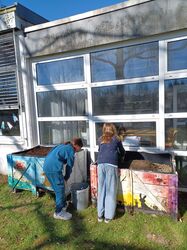 IMG_2950 IMG_2950
