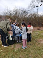 IMG_2955 IMG_2955