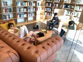 Klicken zum Vergrößern Klicken zum Vergrößern