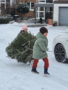 Klicken zum Vergrößern Klicken zum Vergrößern